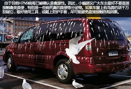 遠離禽類