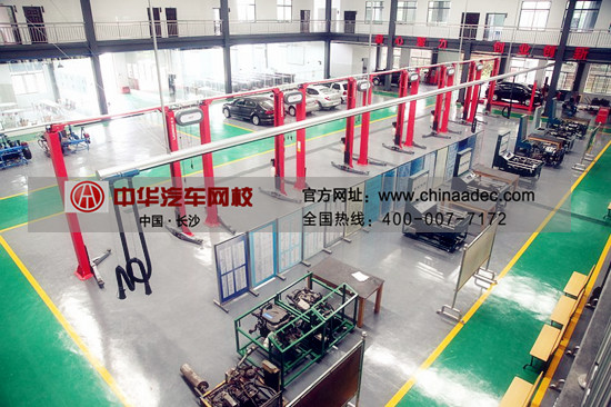 準大學生提前一步考證  旅游拿證兩不誤@chinaadec.com