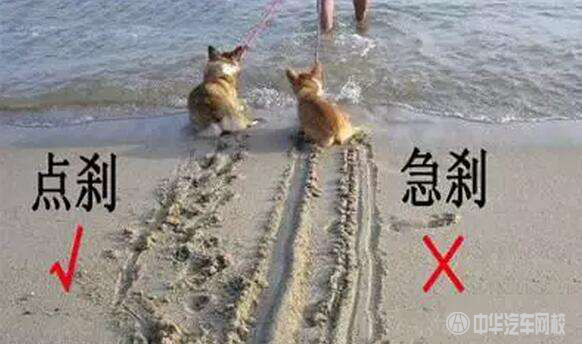 自動擋的車下坡D檔踩剎車很危險？我都不會開車了@chinaadec.com