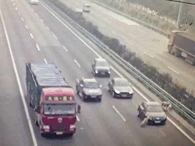 三只羊跑上高速至4人死亡，高速開車需知曉@chinaadec.com