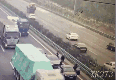 三只羊跑上高速至4人死亡，高速開車需知曉@chinaadec.com