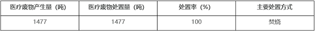 醫療廢物處置情況表